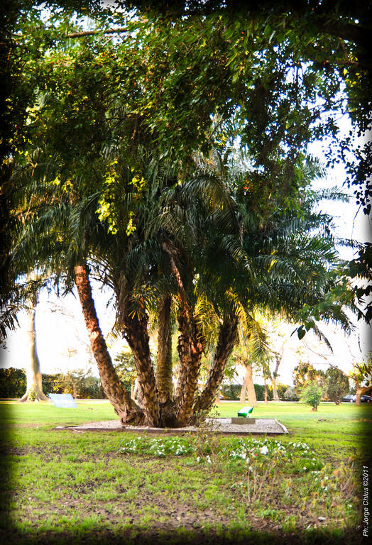Colon Hotel De Campo Resort & Spa Santa Fe Dış mekan fotoğraf
